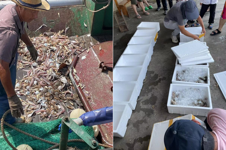 1658366307558834.png image.png