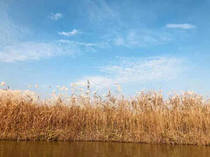 1576287509126960.png 11.png